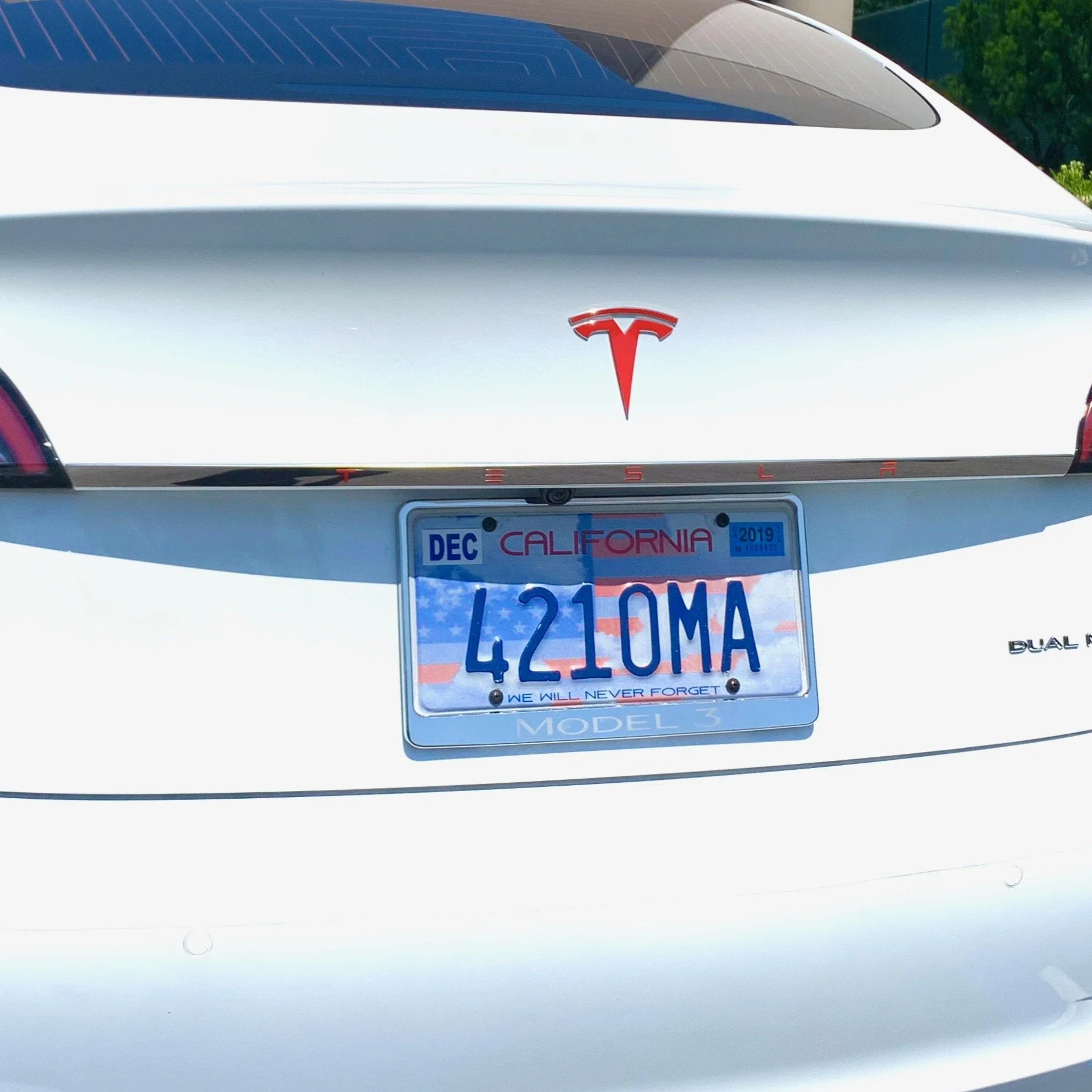 Model 3 Aluminum Tailgate Applique - Approx. 30.5" Length - Image 3